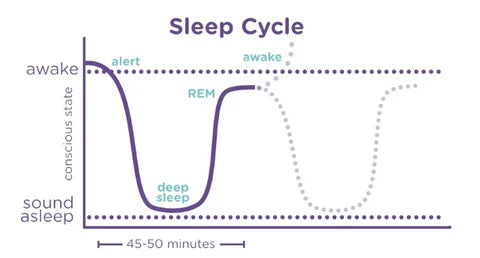 Sleep Tip 1 - What is a Sleep Cycle? How is this different for babies and toddlers?