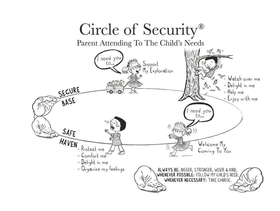 Sleep and Circle Of Security Concepts