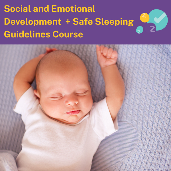 Social and Emotional Development + Safe Sleeping Guidelines Course